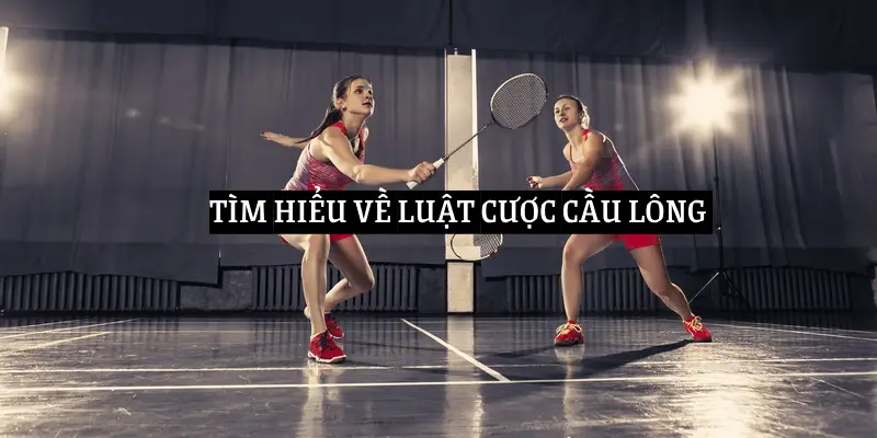 Những Điều Cần Biết Về Quy Tắc Cược Cầu Lông