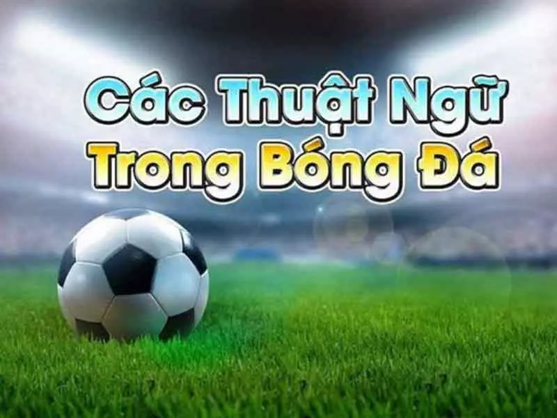 Thuật ngữ cá độ bóng đá người chơi mới phải biết