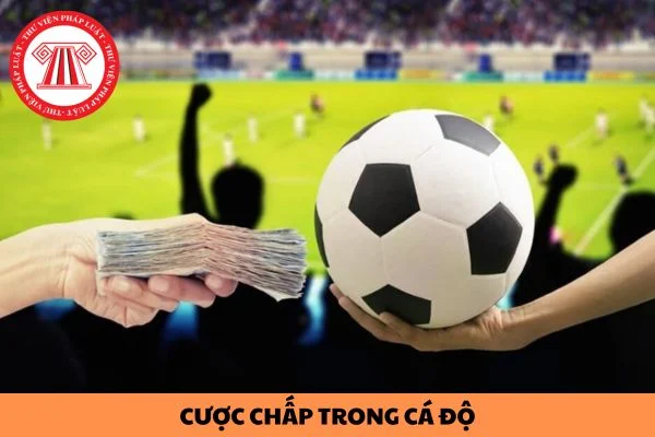 Cược chấp là gì - Khám phá chiến lược cược bóng đá nâng cao giúp thắng lớn