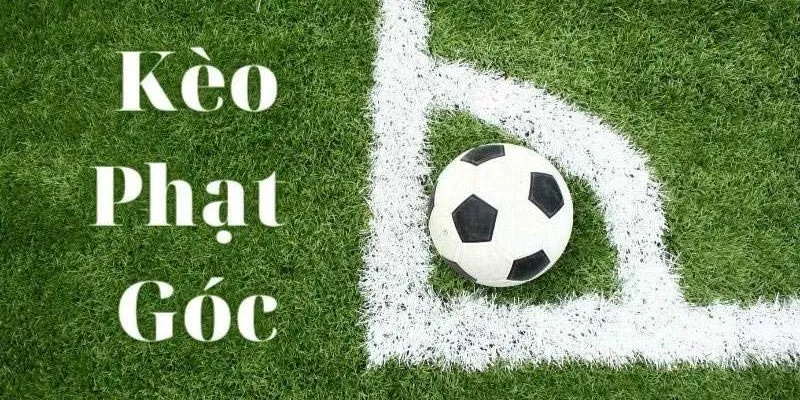 Kèo góc nhà cái - Khám Phá Chiến Thuật Đặt Cược Thông Minh Trong Bóng Đá