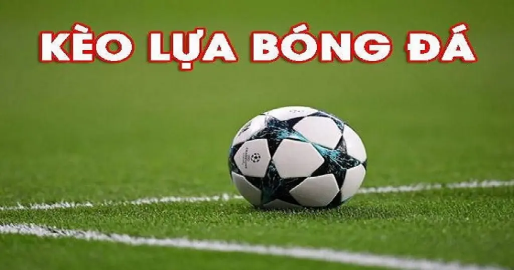 Kèo lựa là gì - Khám Phá Thế Giới Cá Cược Thú Vị