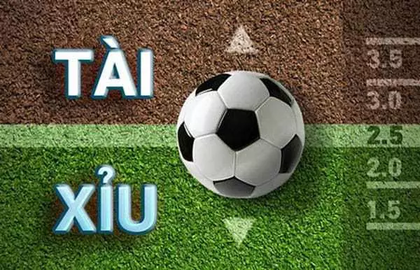 Tài Xỉu Là Gì Trong Bóng đá - Khám Phá Quy Luật Đặt Cược Thú Vị